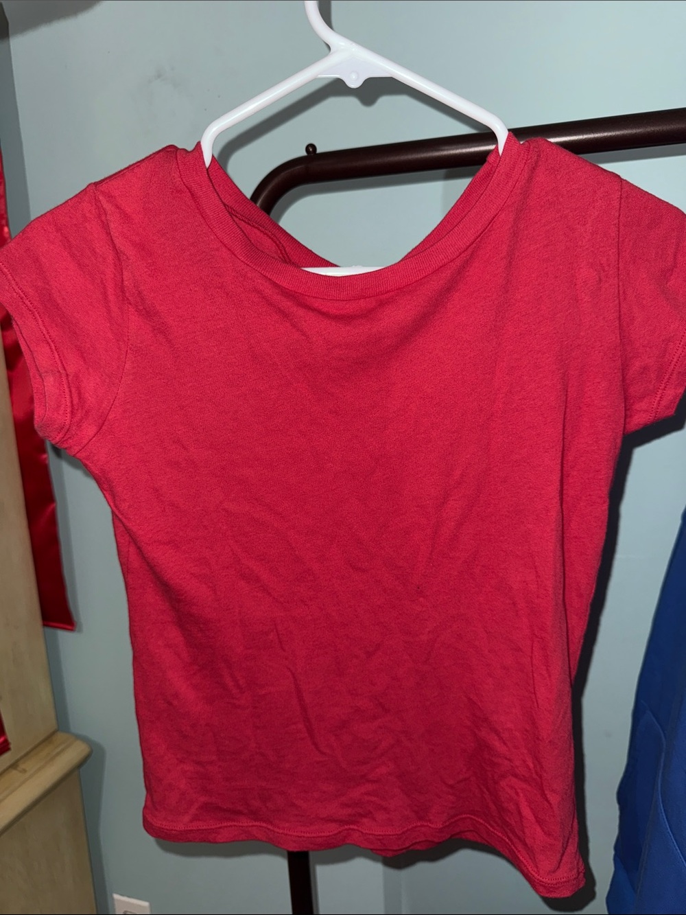 Brandy Melville Strawberry Pink Fitted T-Shirt NWT